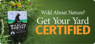 Certified Wildlife Habitat